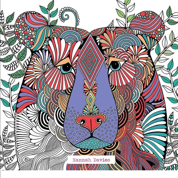 Hannah Davies Other - HANNAH DAVIES COLORING BOOK